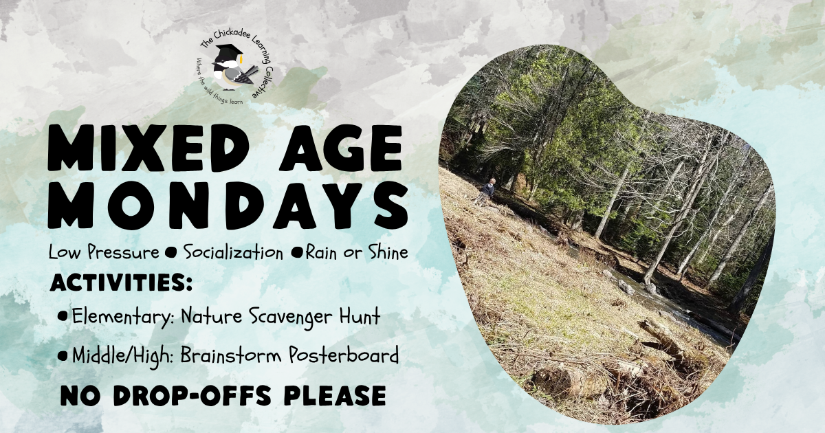 Mixed Age Monday