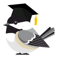 Chickadee Learning Collective