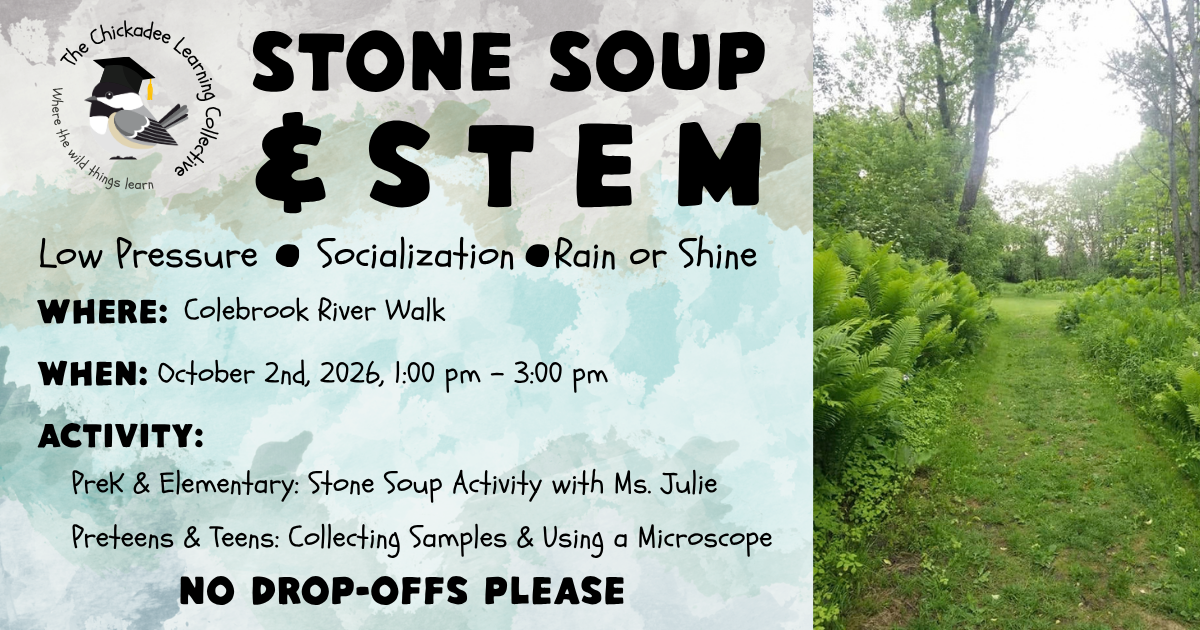 Stone Soup & Stem